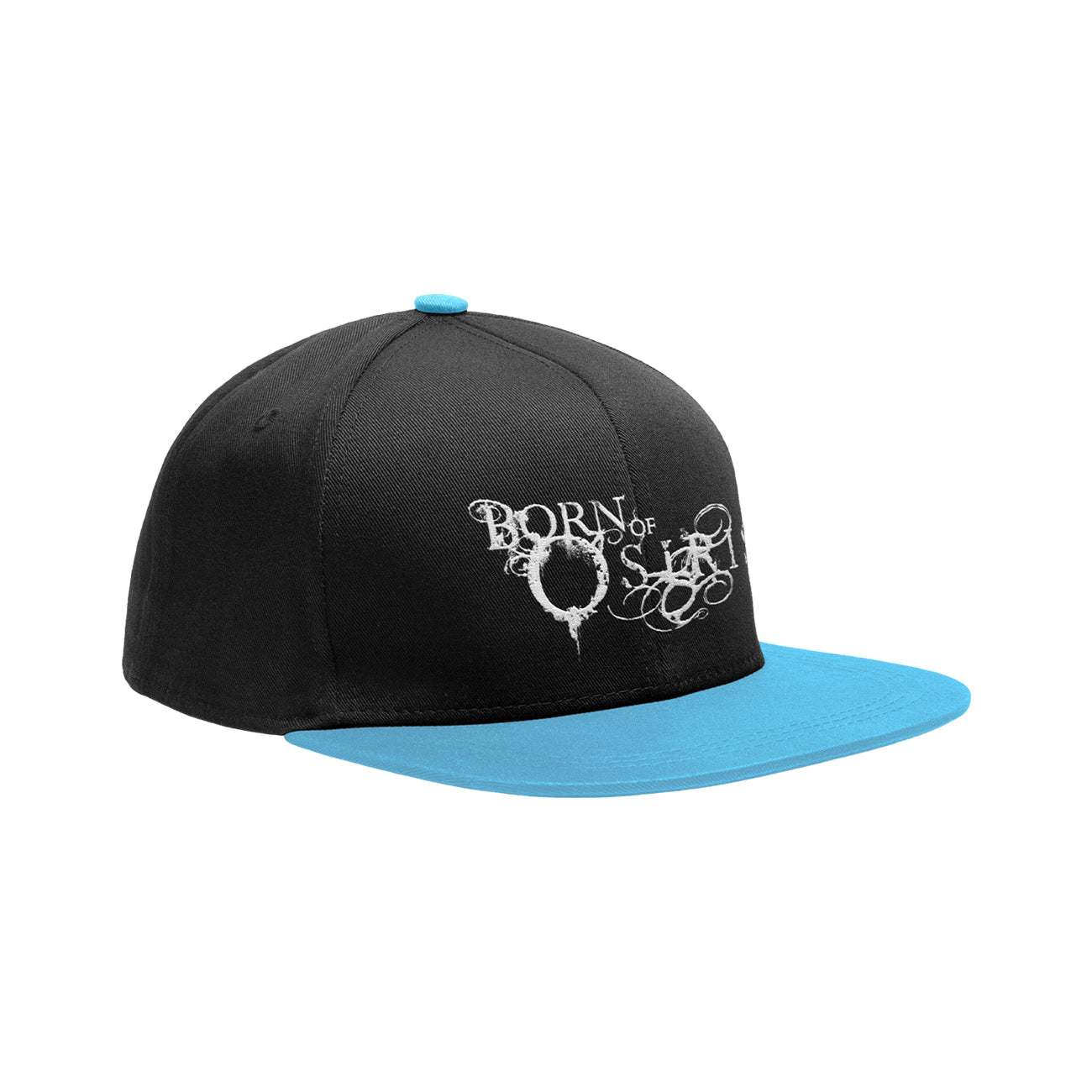 Logo Snapback